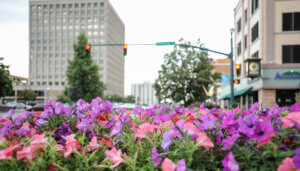 Flowers set against Downtown backdrop